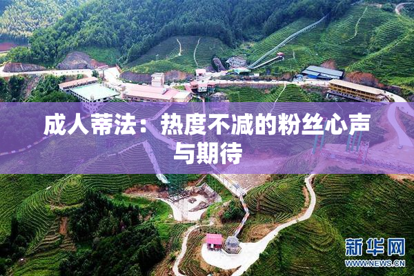 成人蒂法：热度不减的粉丝心声与期待