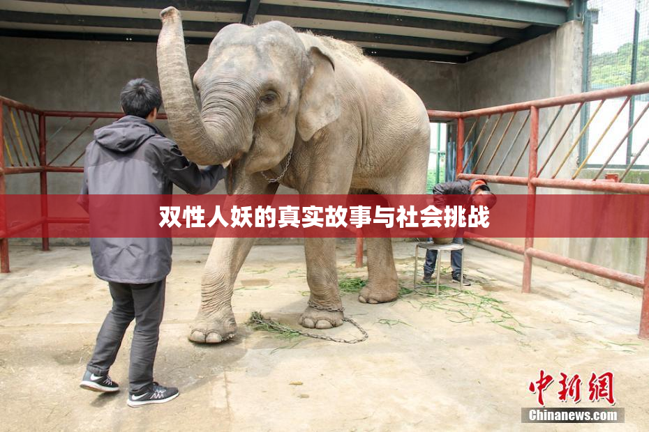 双性人妖的真实故事与社会挑战