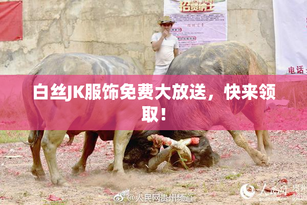 白丝JK服饰免费大放送，快来领取！