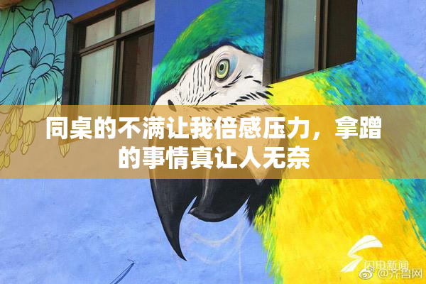 同桌的不满让我倍感压力，拿蹭的事情真让人无奈