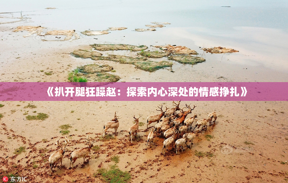 《扒开腿狂躁赵：探索内心深处的情感挣扎》