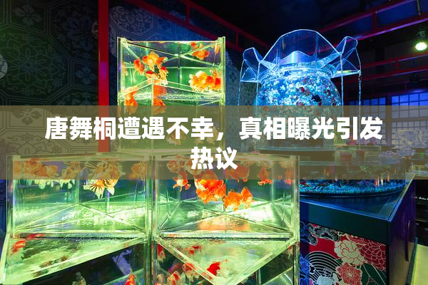 唐舞桐遭遇不幸，真相曝光引发热议