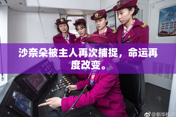 沙奈朵被主人再次捕捉，命运再度改变。