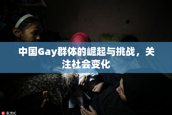中国Gay群体的崛起与挑战，关注社会变化