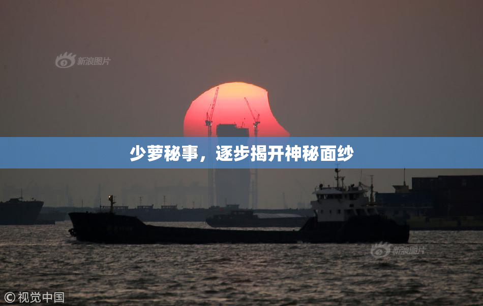 少萝秘事，逐步揭开神秘面纱