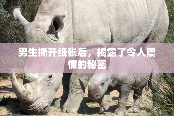 男生撕开纸张后，揭露了令人震惊的秘密