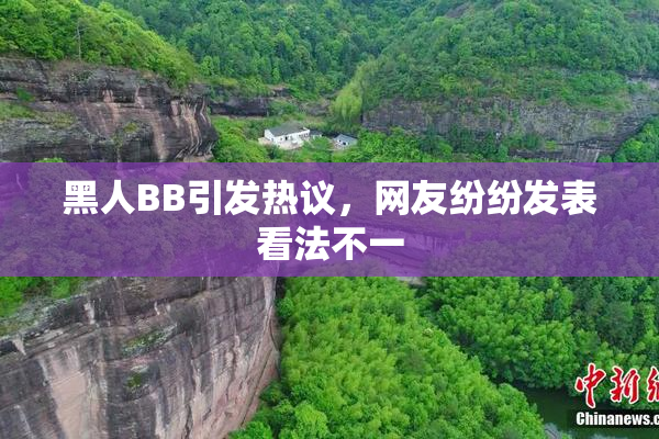 黑人BB引发热议，网友纷纷发表看法不一