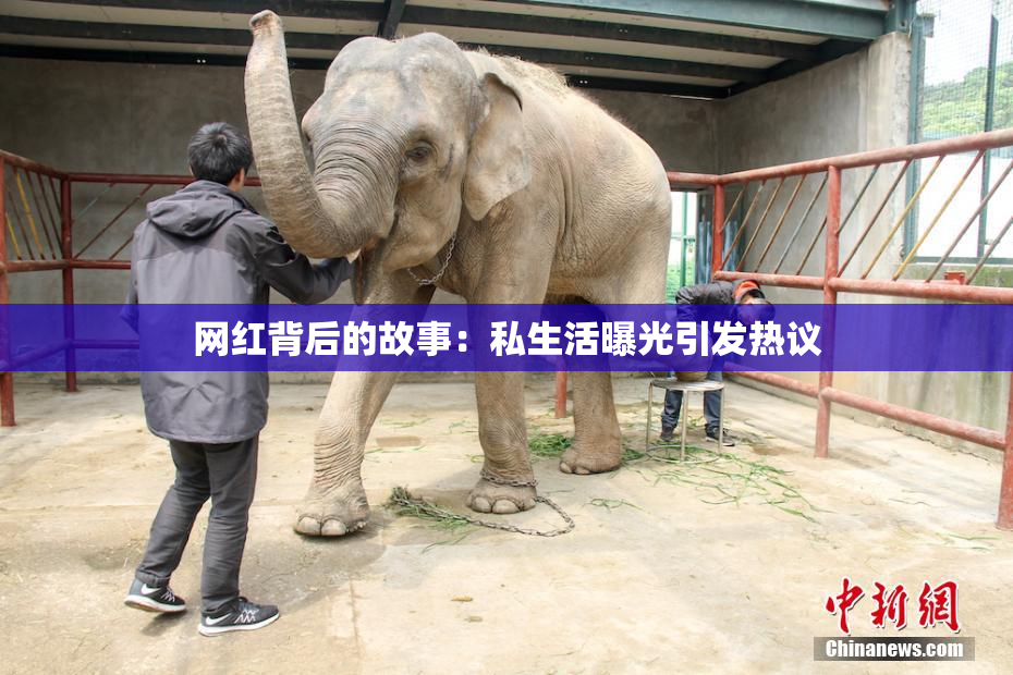 网红背后的故事：私生活曝光引发热议