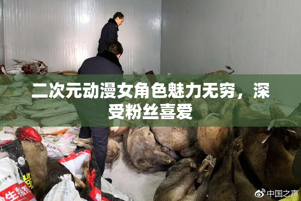二次元动漫女角色魅力无穷，深受粉丝喜爱