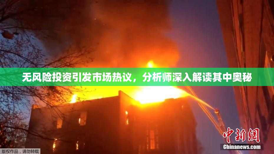 无风险投资引发市场热议，分析师深入解读其中奥秘