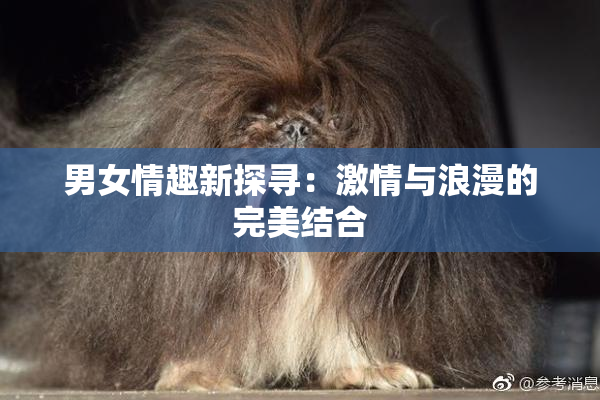 男女情趣新探寻：激情与浪漫的完美结合