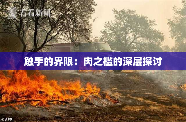 触手的界限：肉之槛的深层探讨