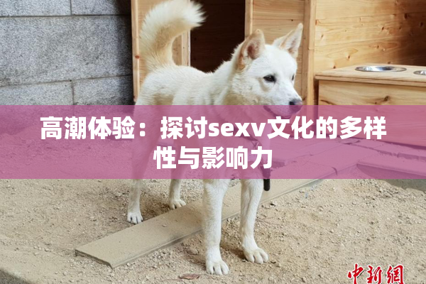 高潮体验：探讨sexv文化的多样性与影响力