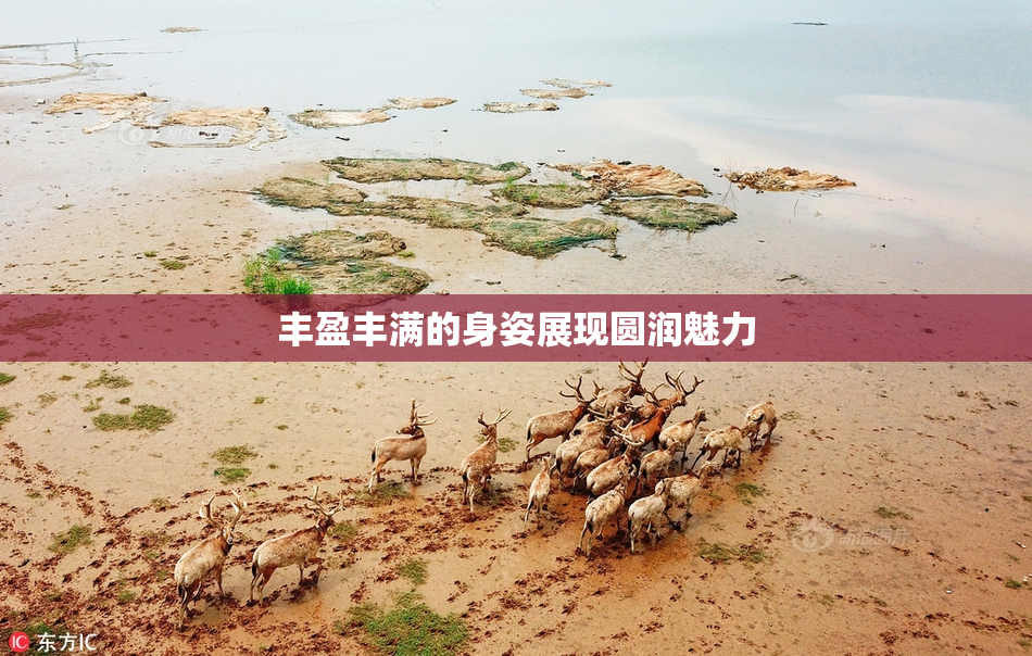 丰盈丰满的身姿展现圆润魅力