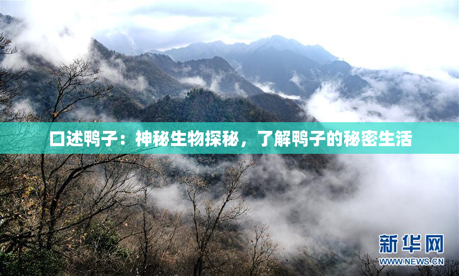 口述鸭子：神秘生物探秘，了解鸭子的秘密生活