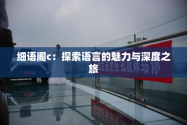 细语阁c：探索语言的魅力与深度之旅