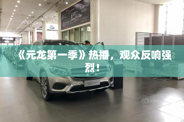 《元龙第一季》热播，观众反响强烈！