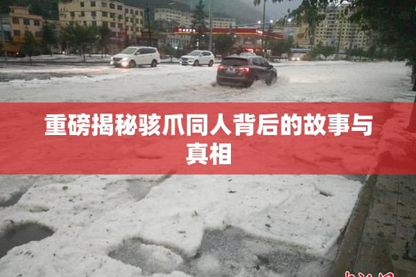 重磅揭秘骇爪同人背后的故事与真相