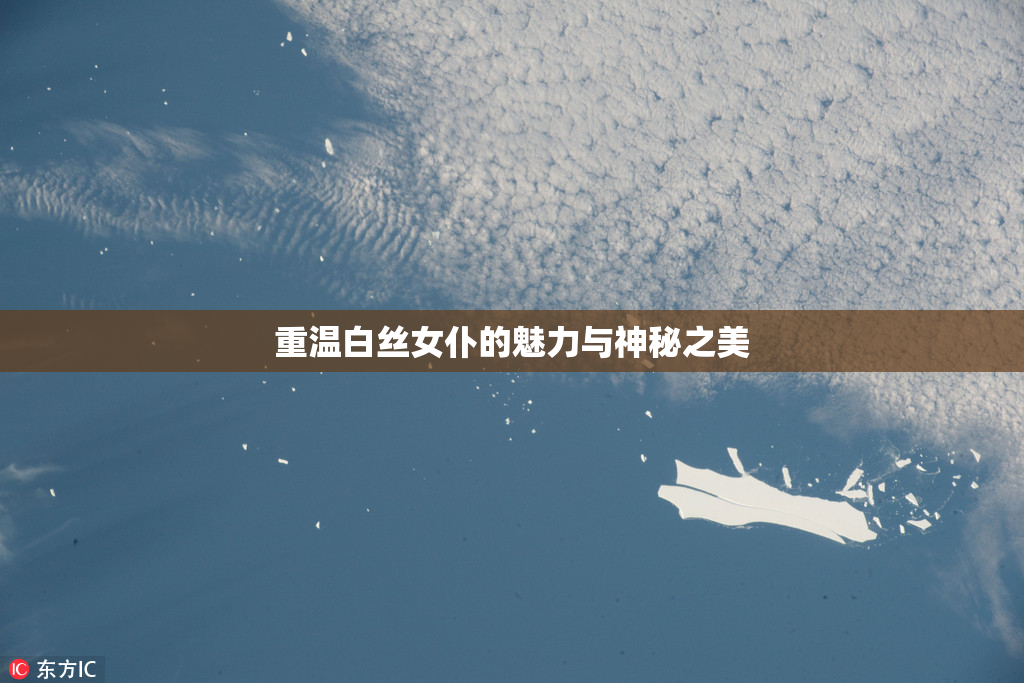 重温白丝女仆的魅力与神秘之美