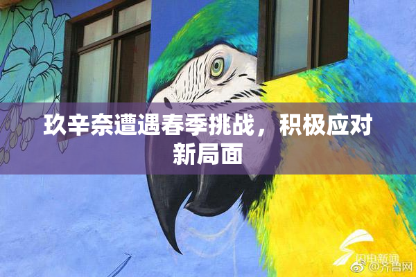 玖辛奈遭遇春季挑战，积极应对新局面