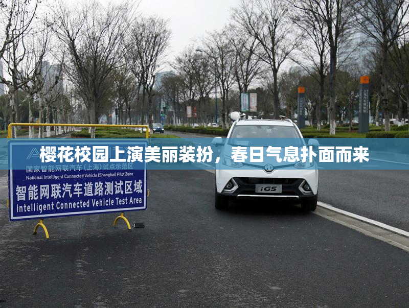 樱花校园上演美丽装扮，春日气息扑面而来