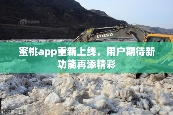 蜜桃app重新上线，用户期待新功能再添精彩