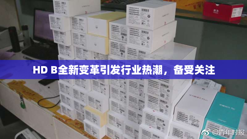 HD B全新变革引发行业热潮，备受关注
