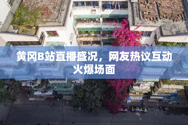 黄冈B站直播盛况，网友热议互动火爆场面