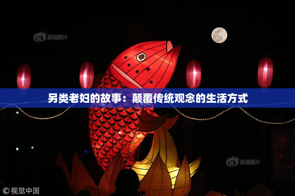 另类老妇的故事：颠覆传统观念的生活方式