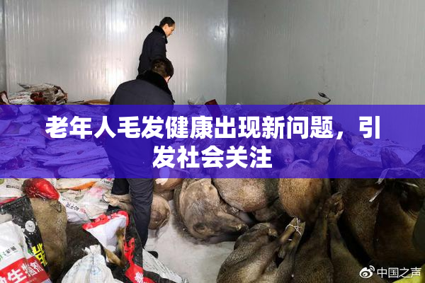 老年人毛发健康出现新问题，引发社会关注