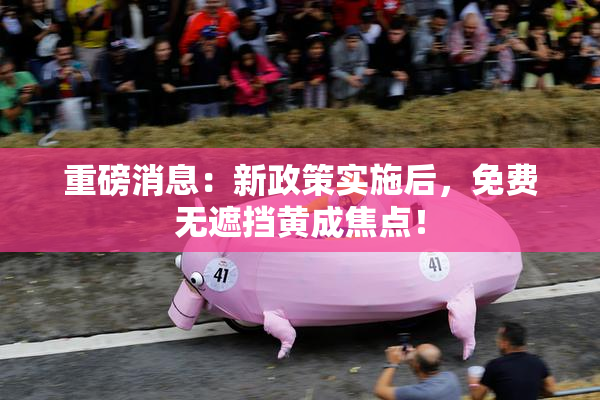 重磅消息：新政策实施后，免费无遮挡黄成焦点！