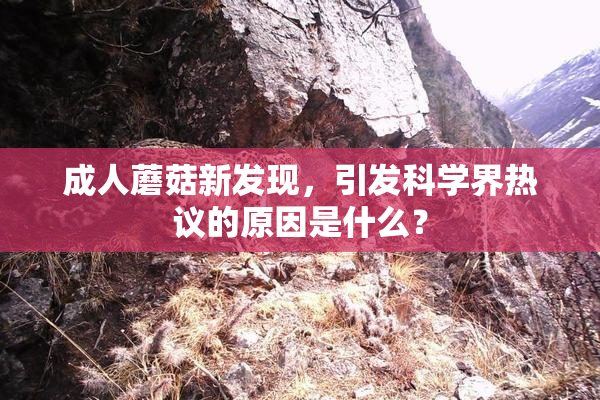 成人蘑菇新发现，引发科学界热议的原因是什么？