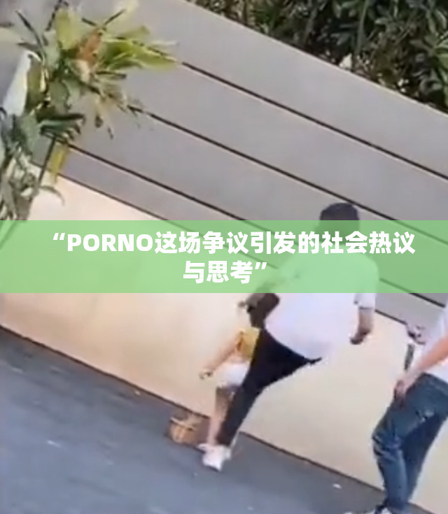 “PORNO这场争议引发的社会热议与思考”