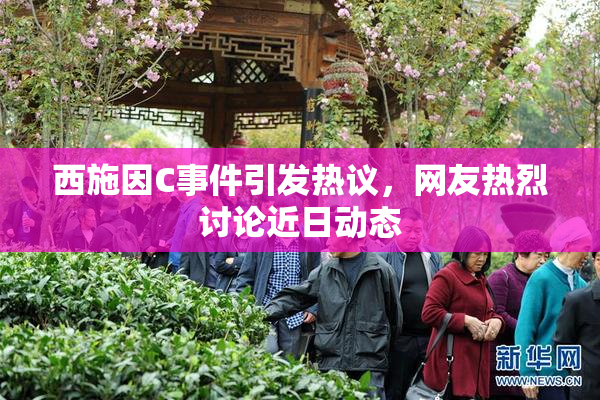 西施因C事件引发热议，网友热烈讨论近日动态