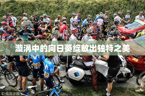 漩涡中的向日葵绽放出独特之美