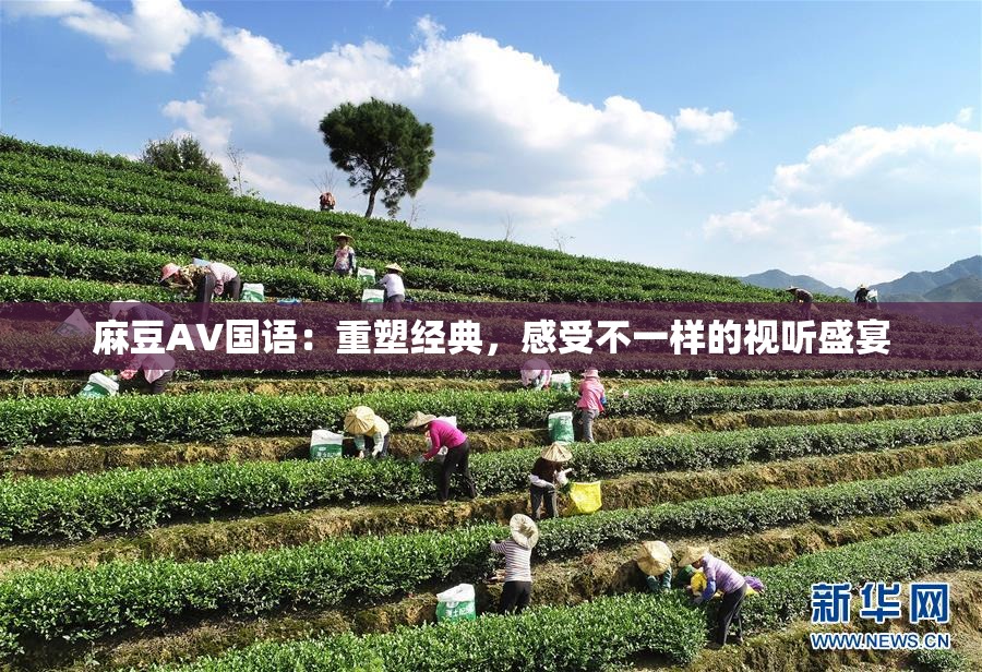 麻豆A∨国语：重塑经典，感受不一样的视听盛宴