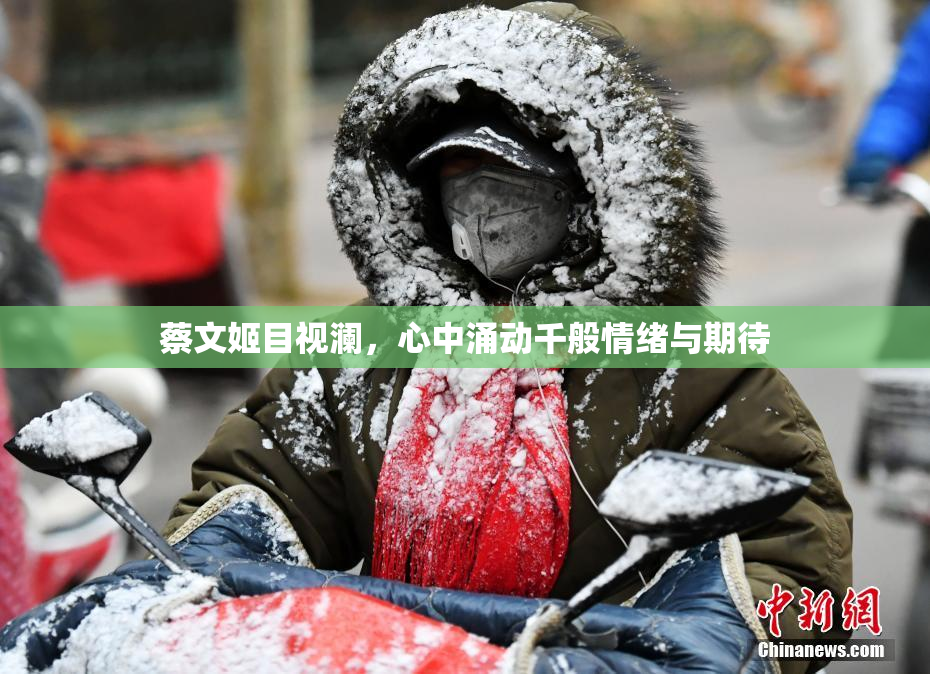 蔡文姬目视澜，心中涌动千般情绪与期待