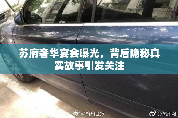 苏府奢华宴会曝光，背后隐秘真实故事引发关注