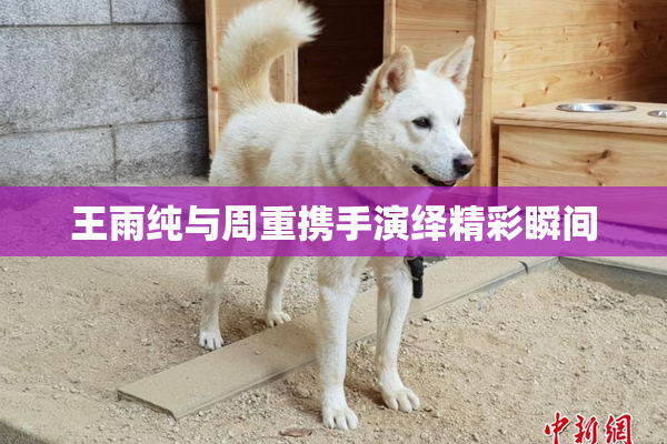 王雨纯与周重携手演绎精彩瞬间