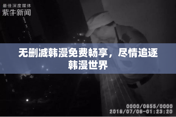 无删减韩漫免费畅享，尽情追逐韩漫世界