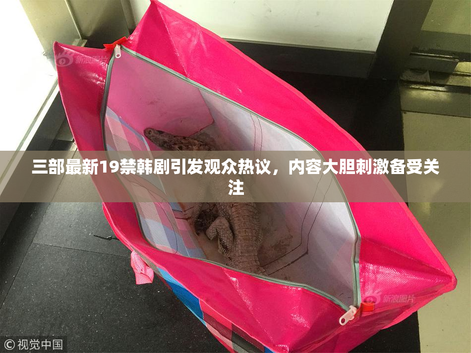 三部最新19禁韩剧引发观众热议，内容大胆刺激备受关注