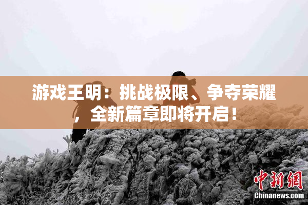 游戏王明：挑战极限、争夺荣耀，全新篇章即将开启！