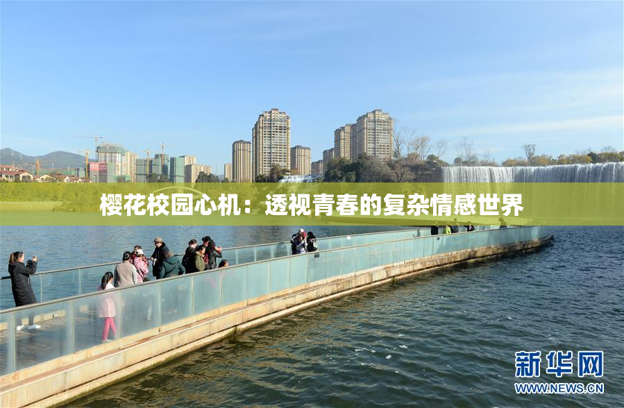 樱花校园心机：透视青春的复杂情感世界