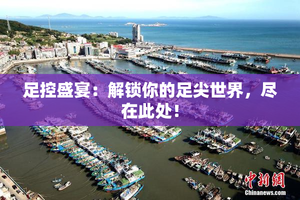 足控盛宴：解锁你的足尖世界，尽在此处！
