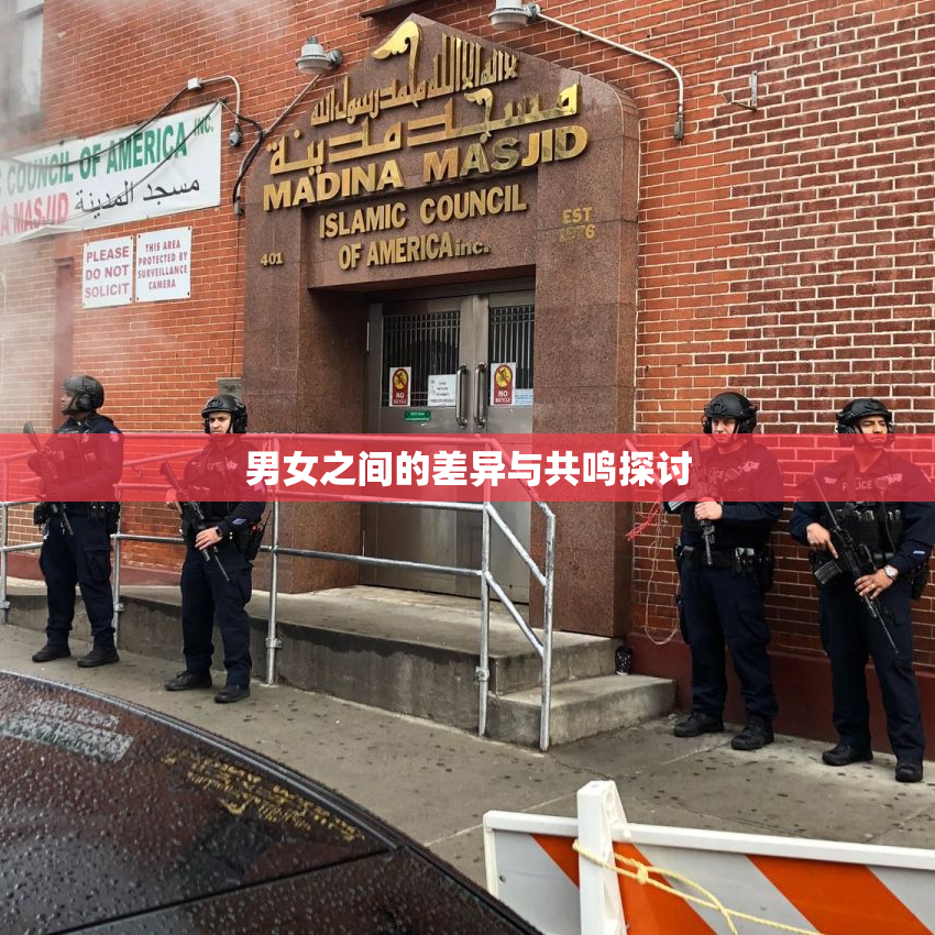 男女之间的差异与共鸣探讨