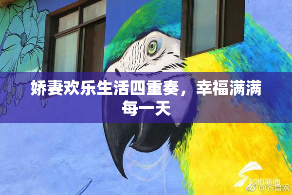 娇妻欢乐生活四重奏，幸福满满每一天