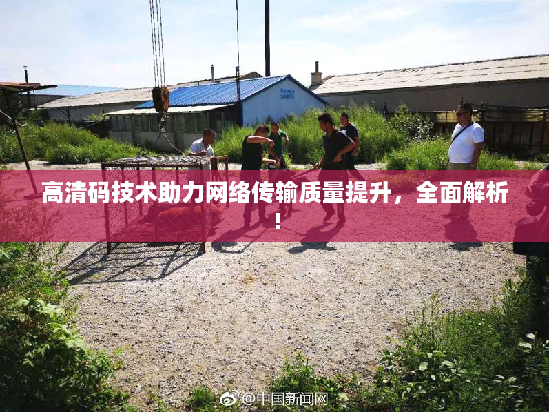 高清码技术助力网络传输质量提升，全面解析！