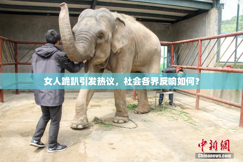 女人跪趴引发热议，社会各界反响如何？