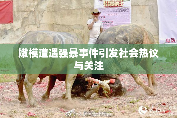 嫩模遭遇强暴事件引发社会热议与关注