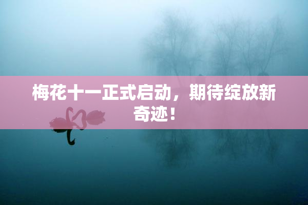 梅花十一正式启动，期待绽放新奇迹！